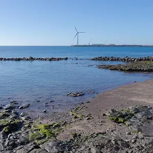 https://las-afortunadas-playa-arinaga-1c.in-canary-islands.com